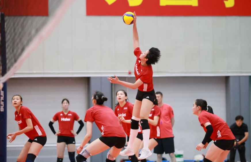 Bob足球体育应用：从新手到专业玩家的成长